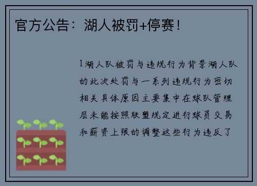 官方公告：湖人被罚+停赛！